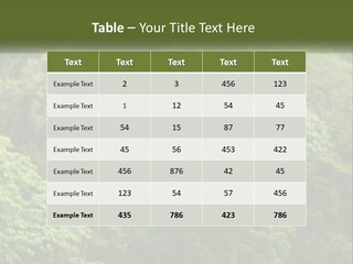 A Man Is Zipping Through The Air On A Rope PowerPoint Template