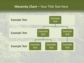 A Man Is Zipping Through The Air On A Rope PowerPoint Template