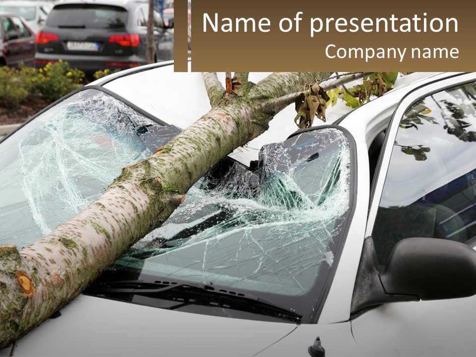 A Tree That Has Fallen On A Car PowerPoint Template