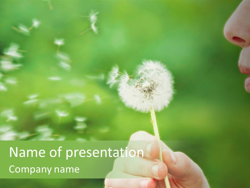 A Woman Blowing A Dandelion Powerpoint Presentation PowerPoint Template