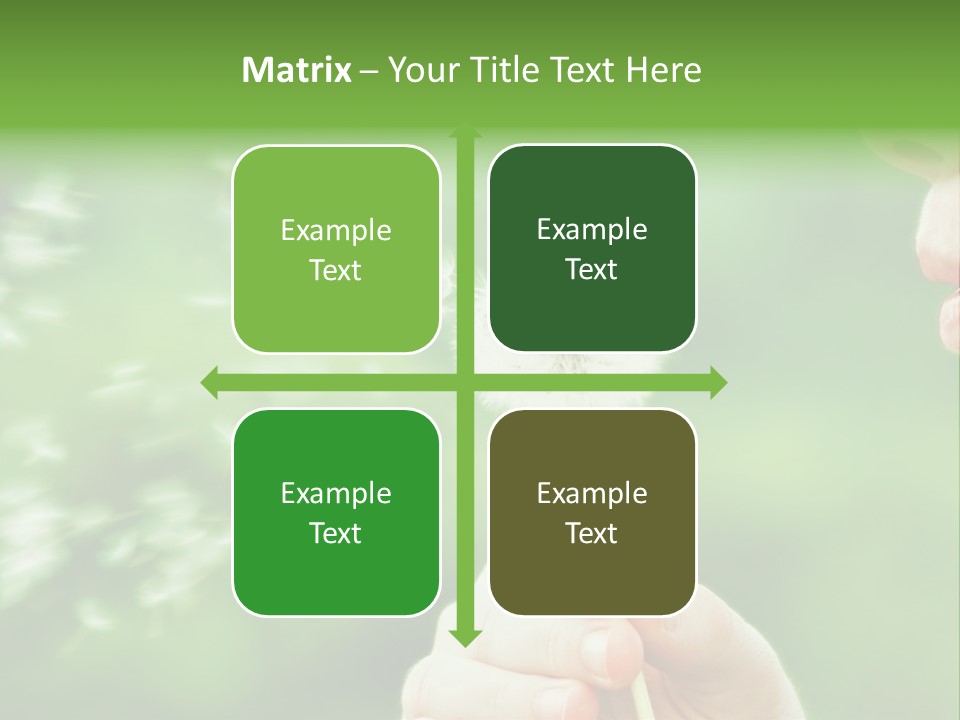 A Woman Blowing A Dandelion Powerpoint Presentation PowerPoint Template