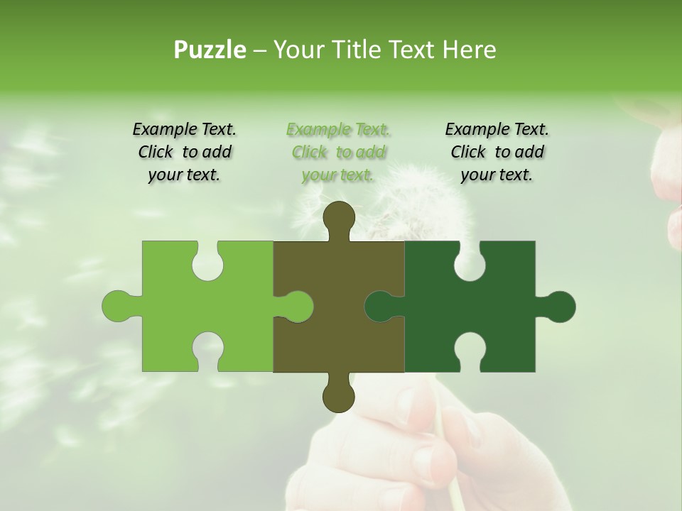 A Woman Blowing A Dandelion Powerpoint Presentation PowerPoint Template