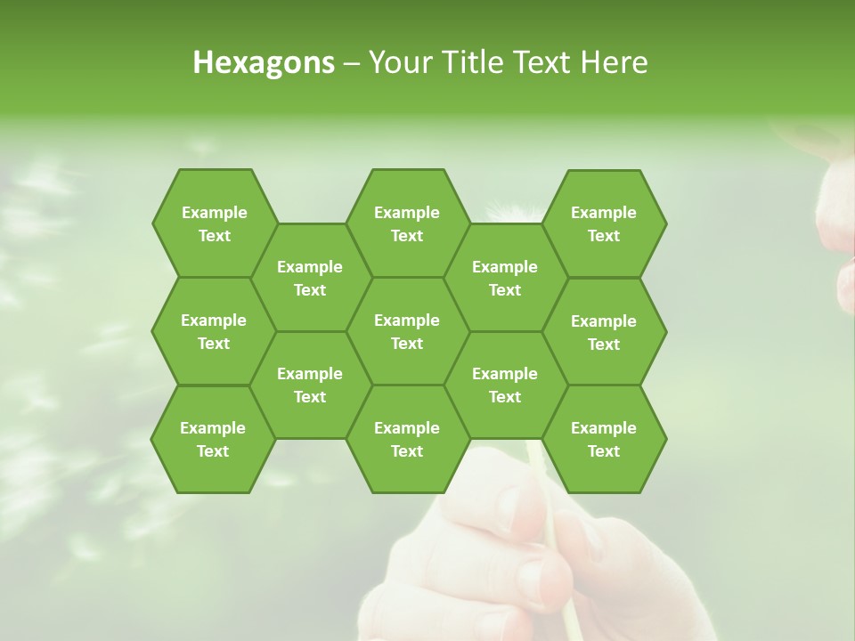 A Woman Blowing A Dandelion Powerpoint Presentation PowerPoint Template