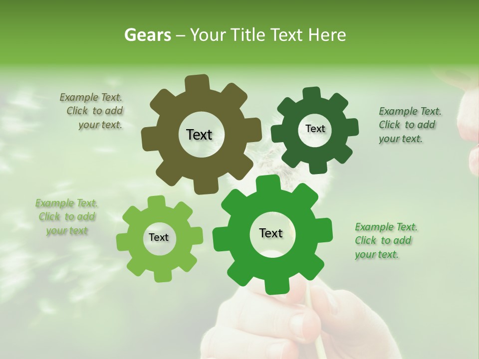 A Woman Blowing A Dandelion Powerpoint Presentation PowerPoint Template