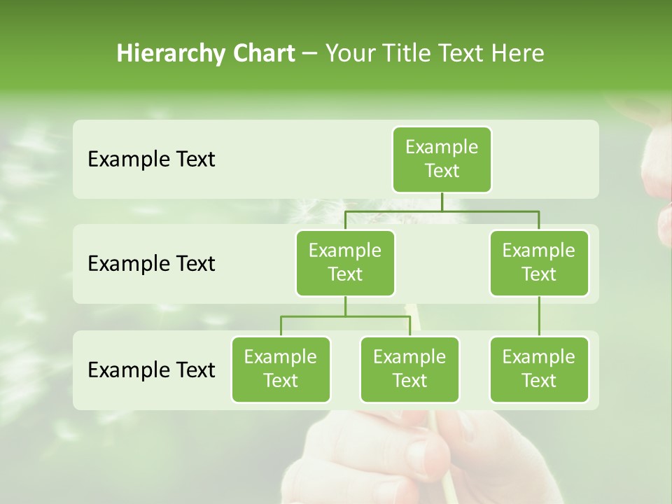 A Woman Blowing A Dandelion Powerpoint Presentation PowerPoint Template