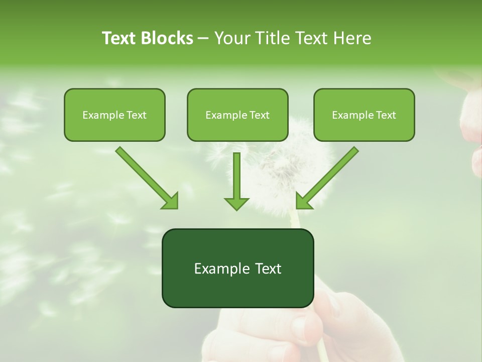 A Woman Blowing A Dandelion Powerpoint Presentation PowerPoint Template