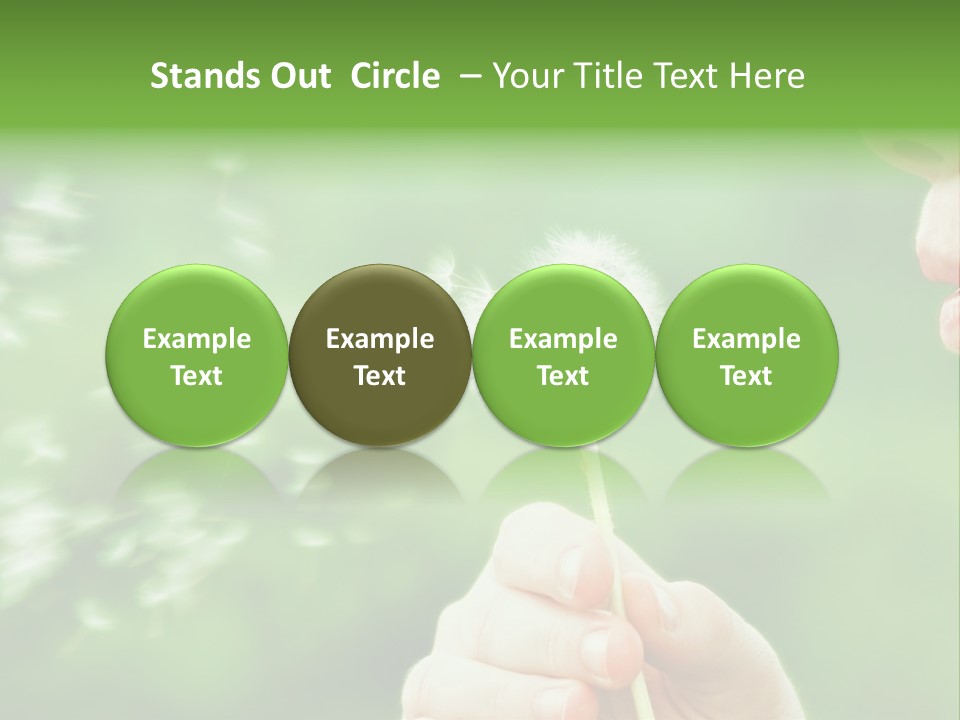 A Woman Blowing A Dandelion Powerpoint Presentation PowerPoint Template