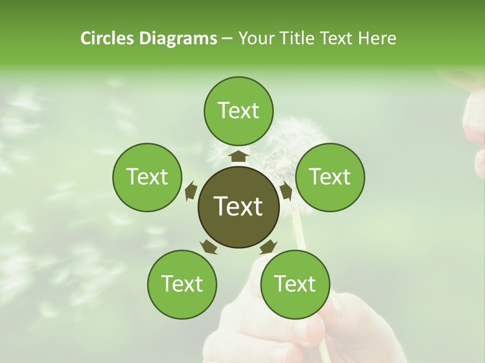 A Woman Blowing A Dandelion Powerpoint Presentation PowerPoint Template