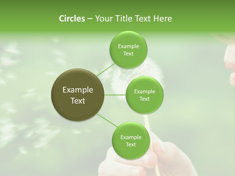 A Woman Blowing A Dandelion Powerpoint Presentation PowerPoint Template