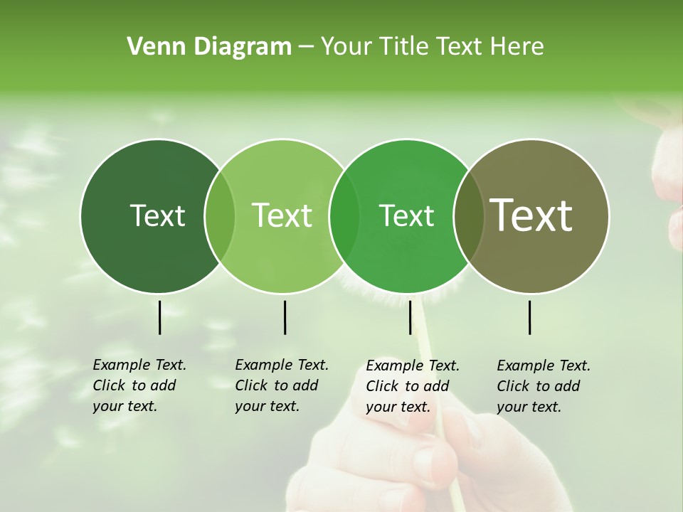 A Woman Blowing A Dandelion Powerpoint Presentation PowerPoint Template