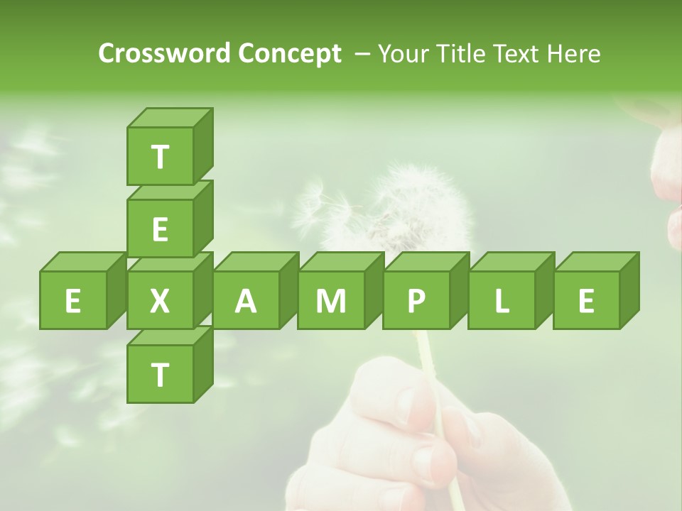 A Woman Blowing A Dandelion Powerpoint Presentation PowerPoint Template