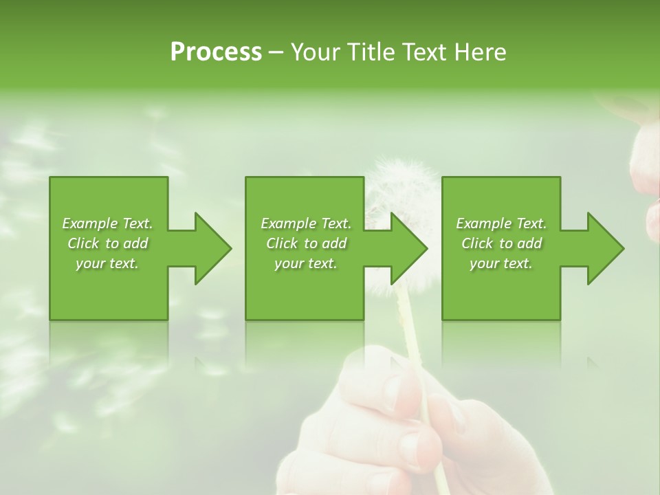 A Woman Blowing A Dandelion Powerpoint Presentation PowerPoint Template