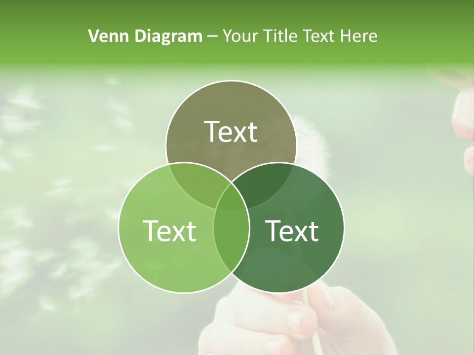 A Woman Blowing A Dandelion Powerpoint Presentation PowerPoint Template