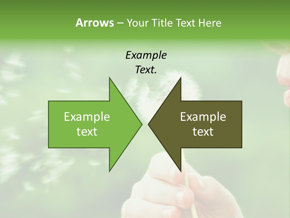 A Woman Blowing A Dandelion Powerpoint Presentation PowerPoint Template