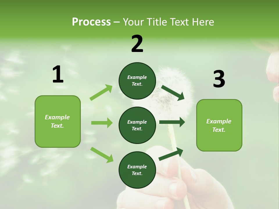 A Woman Blowing A Dandelion Powerpoint Presentation PowerPoint Template