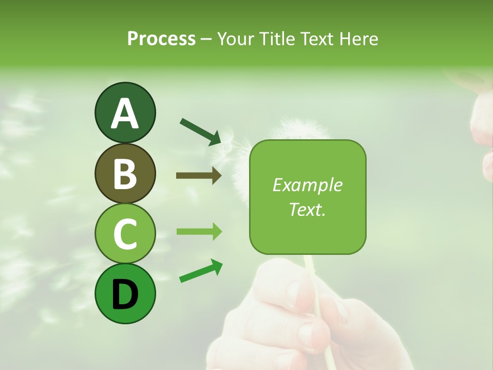 A Woman Blowing A Dandelion Powerpoint Presentation PowerPoint Template