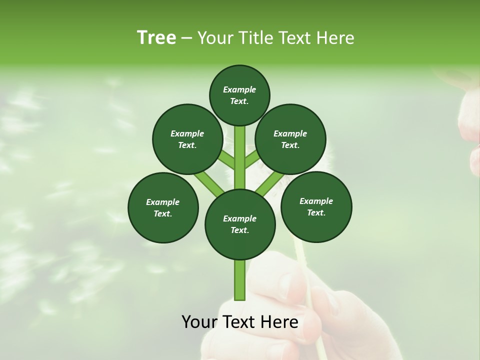 A Woman Blowing A Dandelion Powerpoint Presentation PowerPoint Template