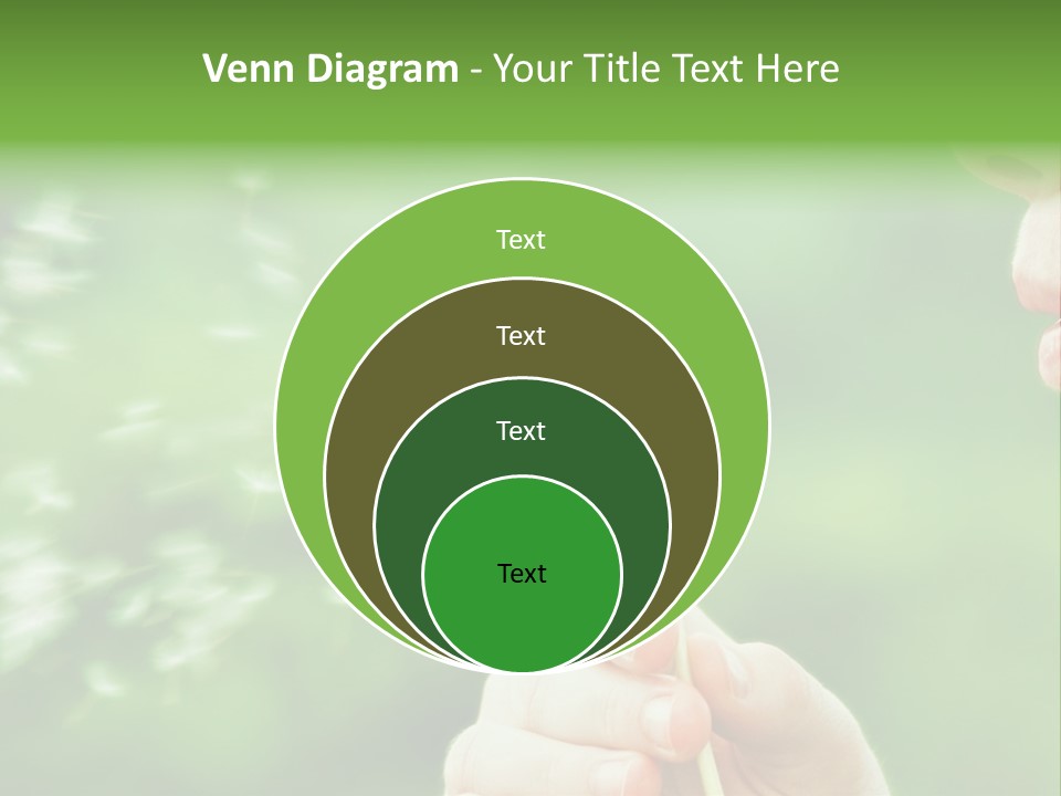 A Woman Blowing A Dandelion Powerpoint Presentation PowerPoint Template