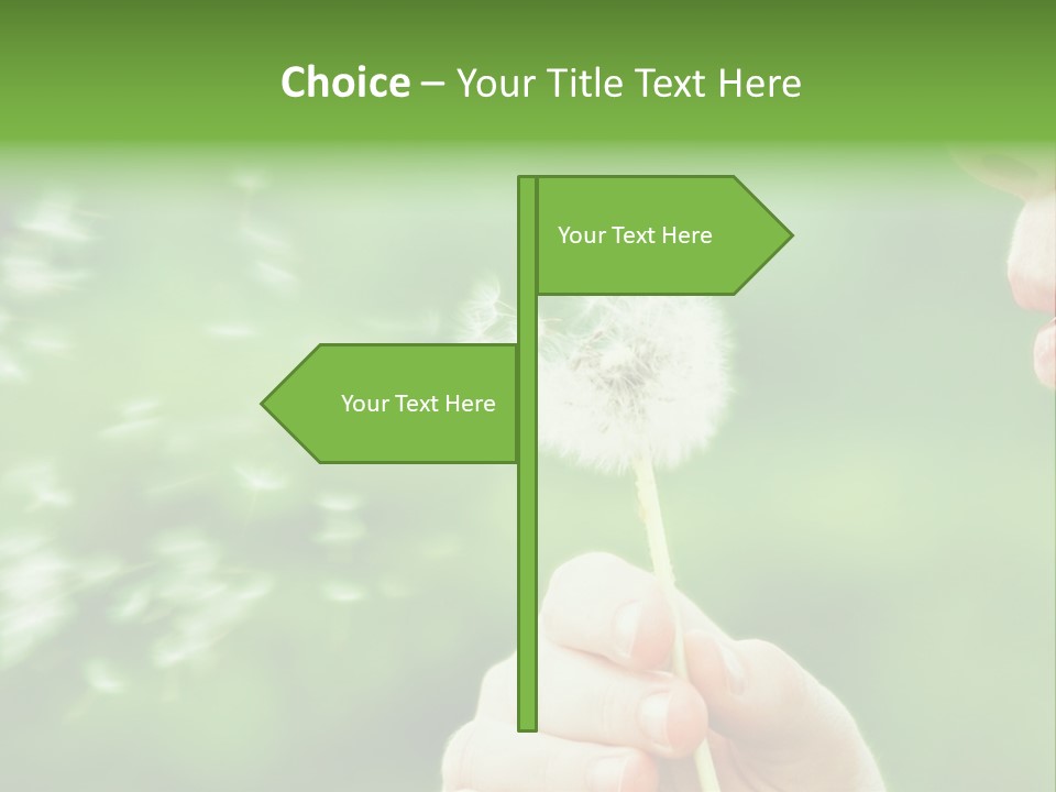 A Woman Blowing A Dandelion Powerpoint Presentation PowerPoint Template