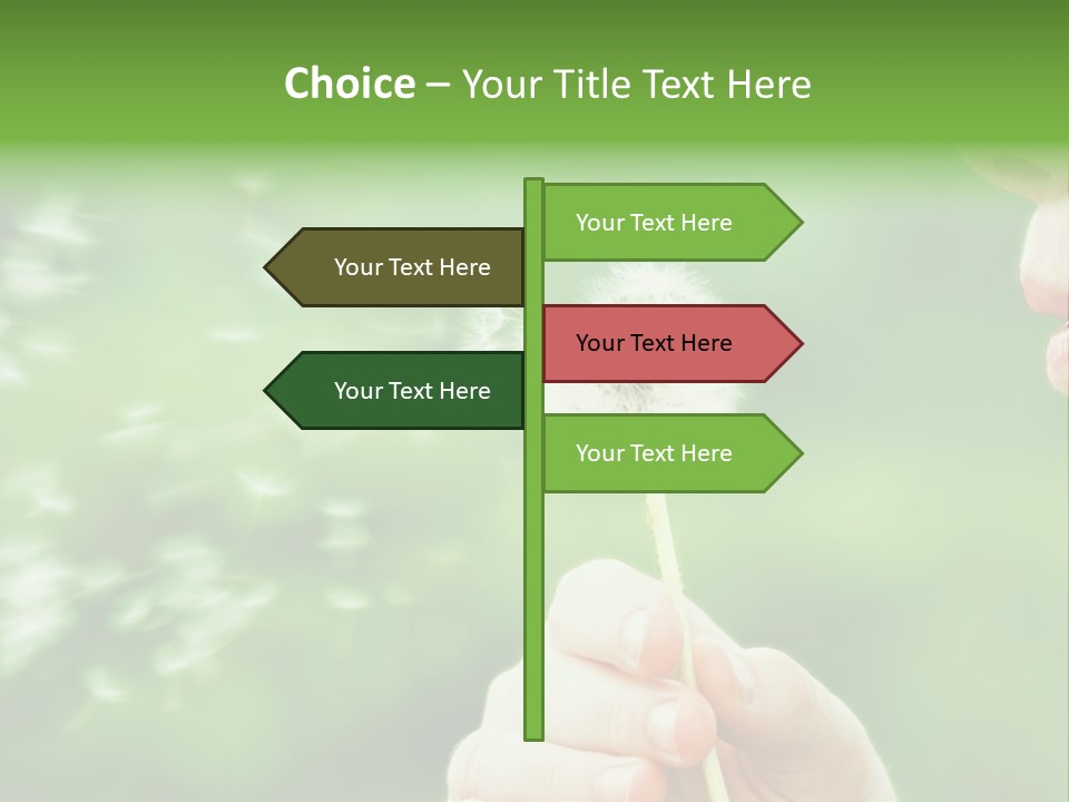 A Woman Blowing A Dandelion Powerpoint Presentation PowerPoint Template