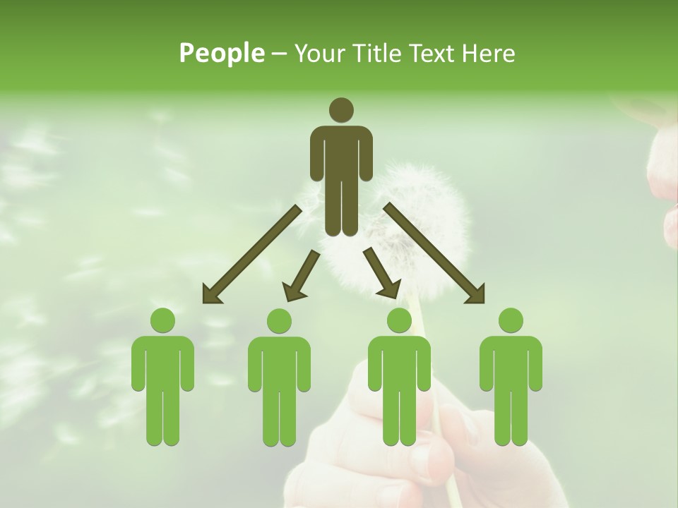 A Woman Blowing A Dandelion Powerpoint Presentation PowerPoint Template