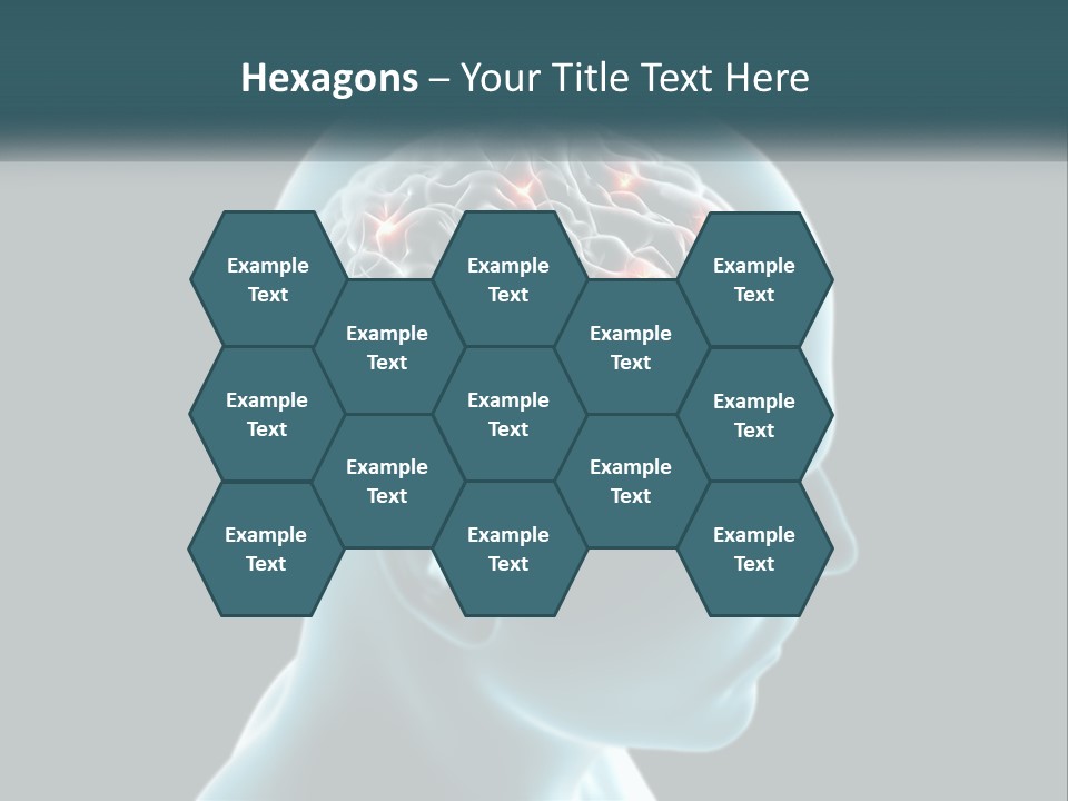 A Man's Head With The Brain Highlighted In Red PowerPoint Template