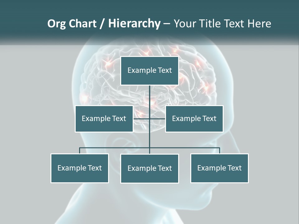 A Man's Head With The Brain Highlighted In Red PowerPoint Template