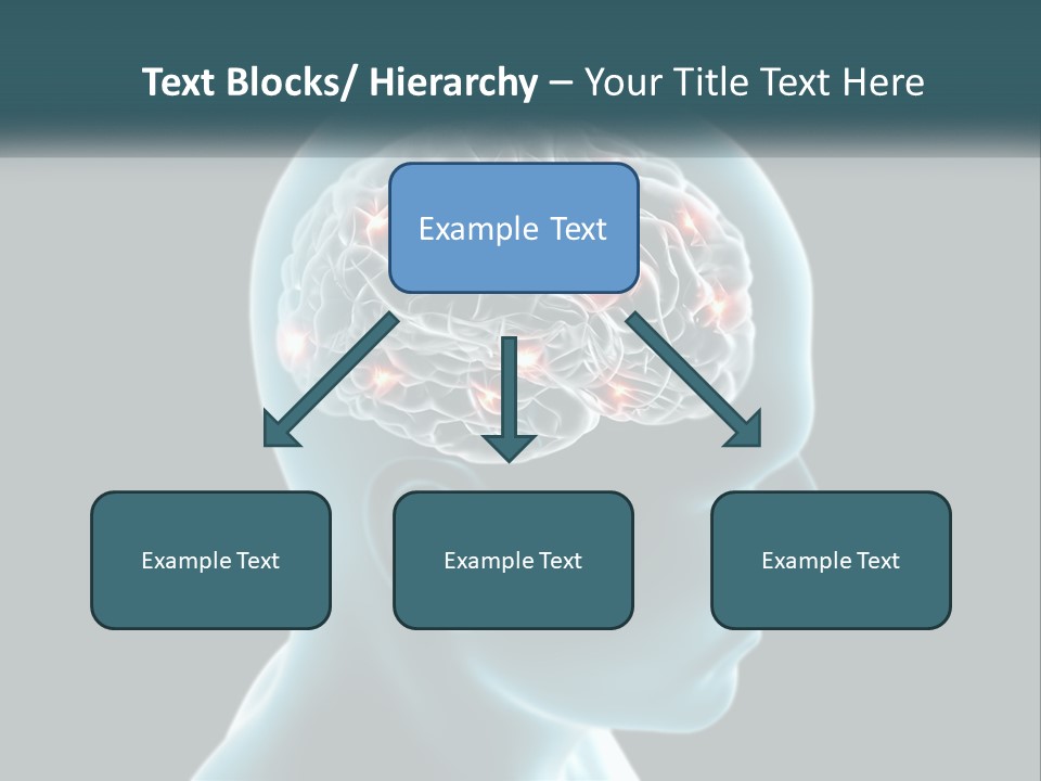 A Man's Head With The Brain Highlighted In Red PowerPoint Template
