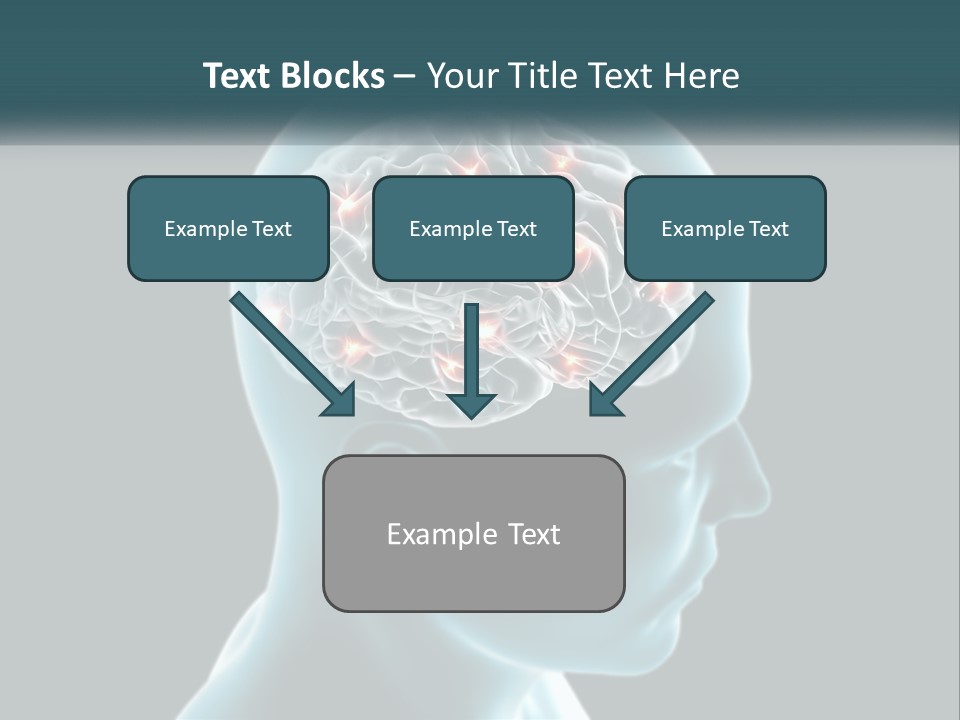 A Man's Head With The Brain Highlighted In Red PowerPoint Template