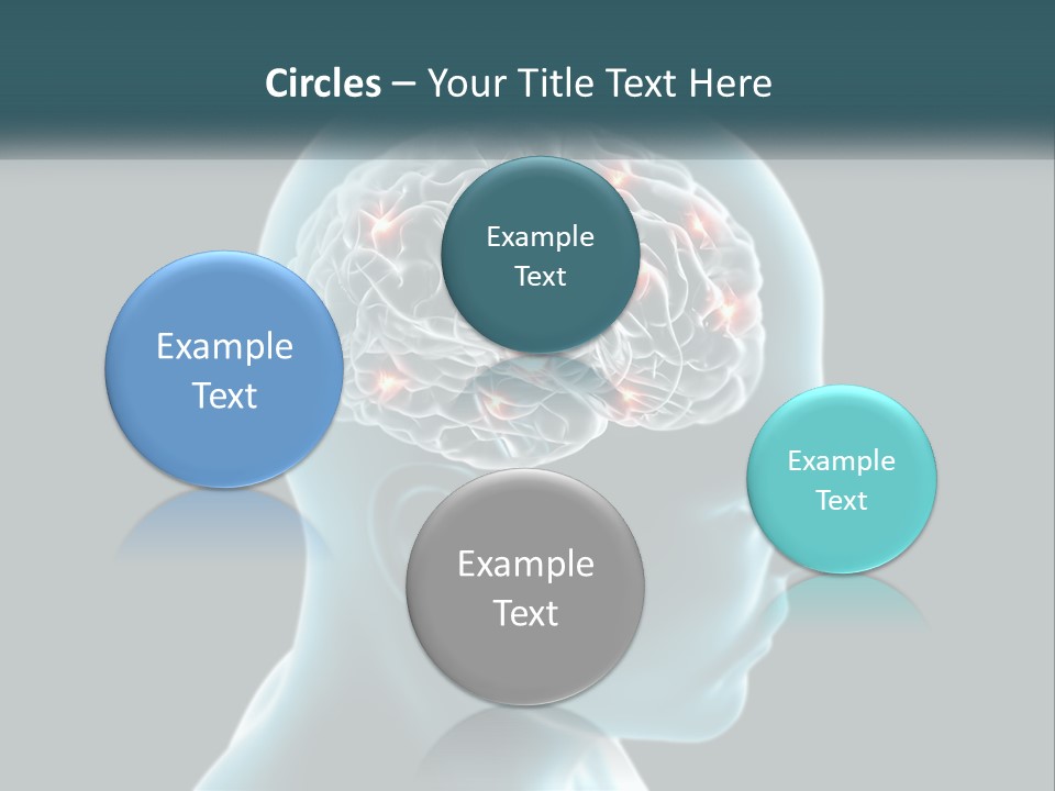 A Man's Head With The Brain Highlighted In Red PowerPoint Template