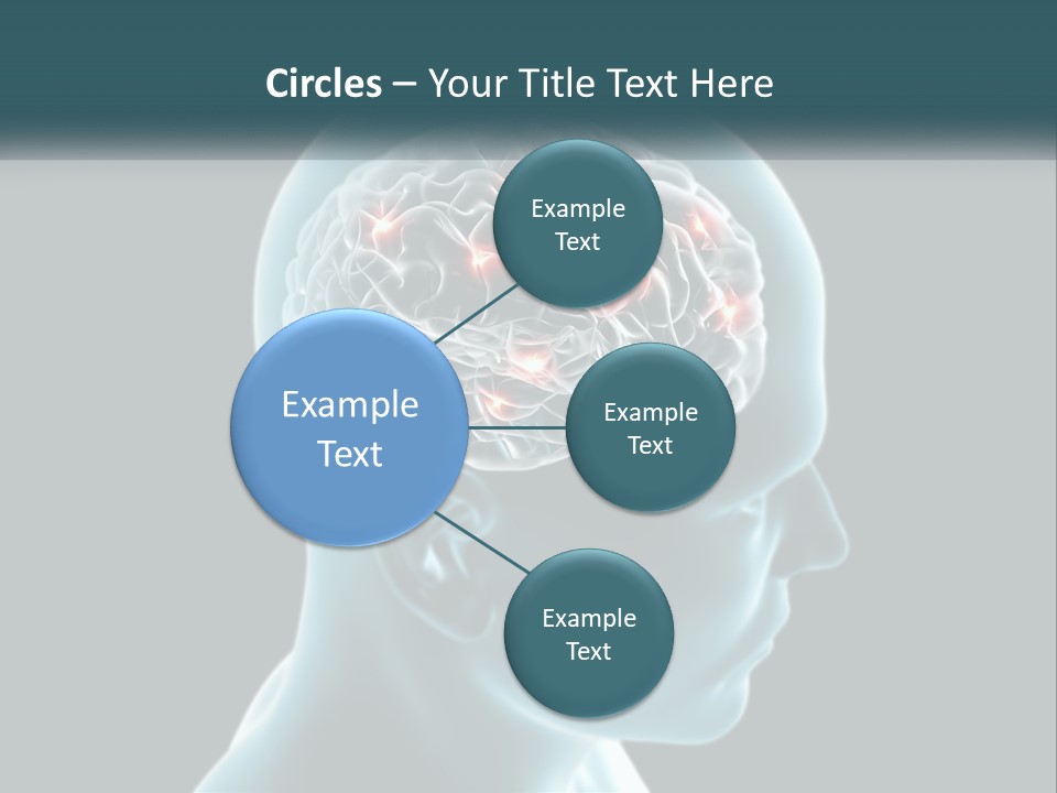 A Man's Head With The Brain Highlighted In Red PowerPoint Template
