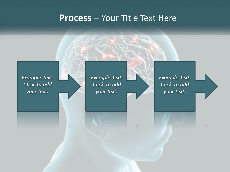 A Man's Head With The Brain Highlighted In Red PowerPoint Template