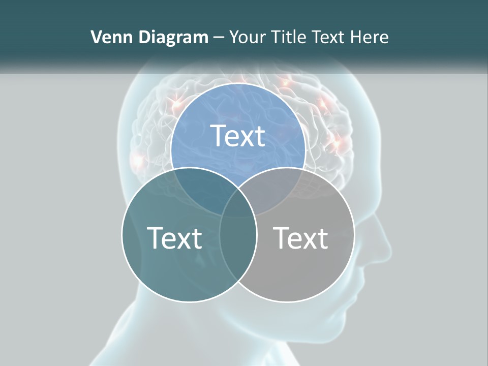 A Man's Head With The Brain Highlighted In Red PowerPoint Template