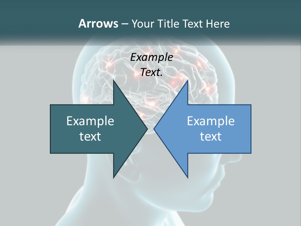 A Man's Head With The Brain Highlighted In Red PowerPoint Template