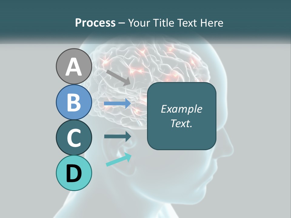 A Man's Head With The Brain Highlighted In Red PowerPoint Template