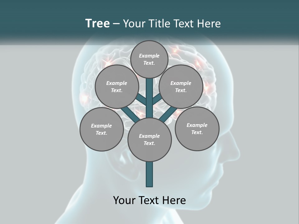 A Man's Head With The Brain Highlighted In Red PowerPoint Template