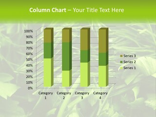 A Pile Of Green Leaves With The Words Name Of Presentation PowerPoint Template