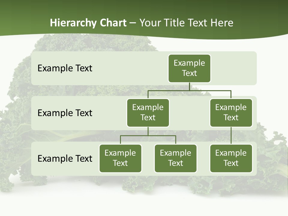 A Pile Of Green Leafy Vegetables On A White Background PowerPoint Template