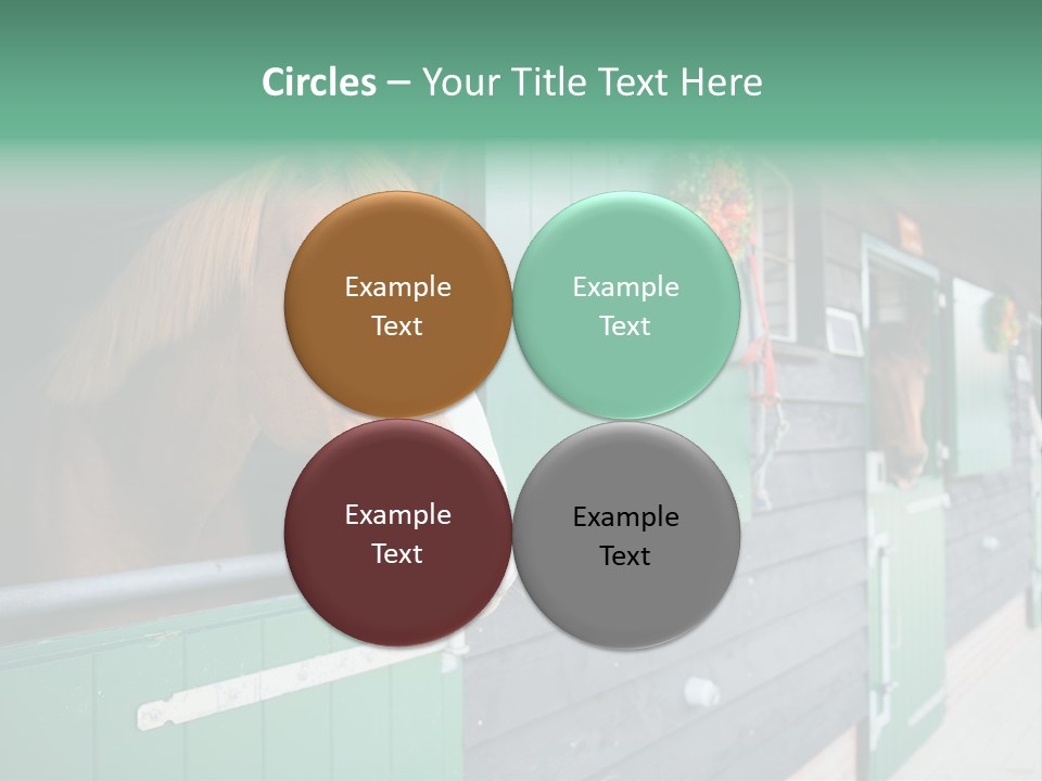 A Brown Horse Standing Next To A Green Door PowerPoint Template