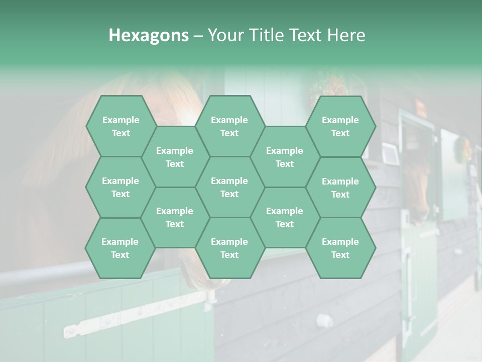 A Brown Horse Standing Next To A Green Door PowerPoint Template