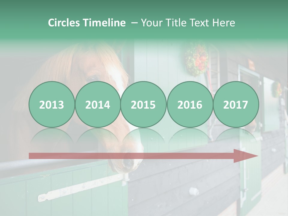 A Brown Horse Standing Next To A Green Door PowerPoint Template