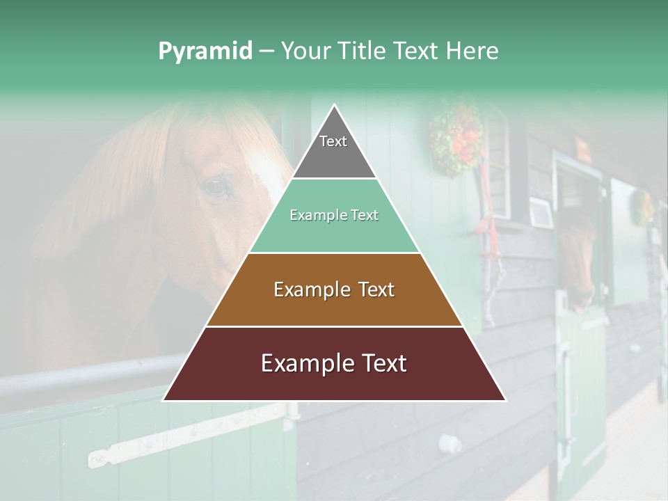 A Brown Horse Standing Next To A Green Door PowerPoint Template