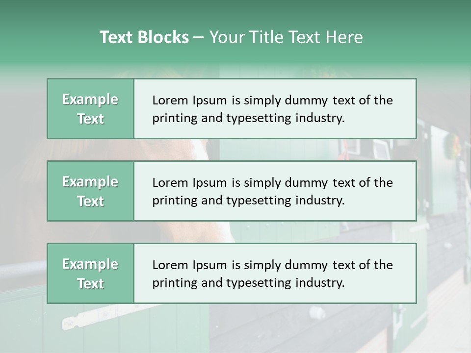 A Brown Horse Standing Next To A Green Door PowerPoint Template