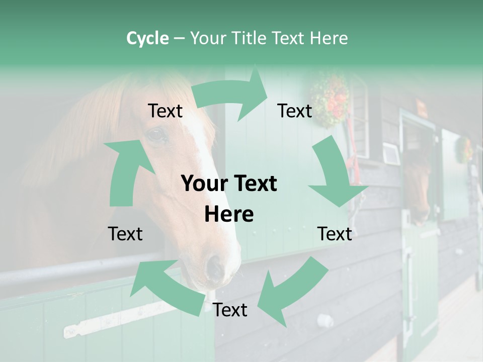 A Brown Horse Standing Next To A Green Door PowerPoint Template