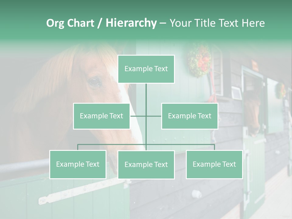 A Brown Horse Standing Next To A Green Door PowerPoint Template