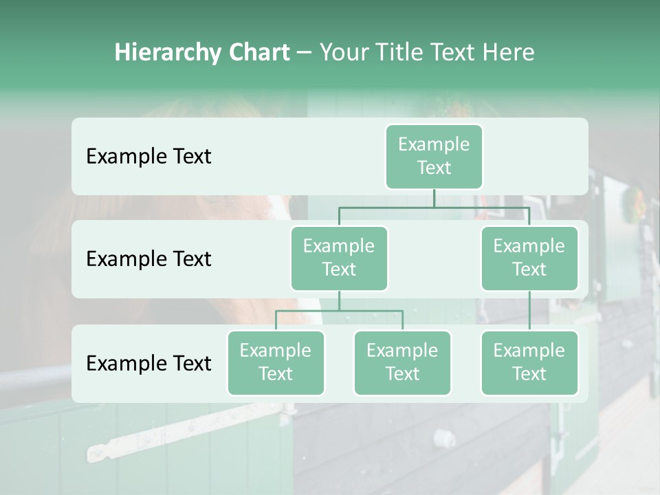 A Brown Horse Standing Next To A Green Door PowerPoint Template