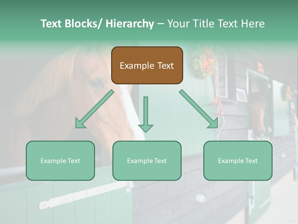 A Brown Horse Standing Next To A Green Door PowerPoint Template