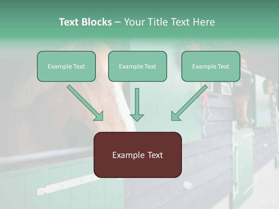 A Brown Horse Standing Next To A Green Door PowerPoint Template