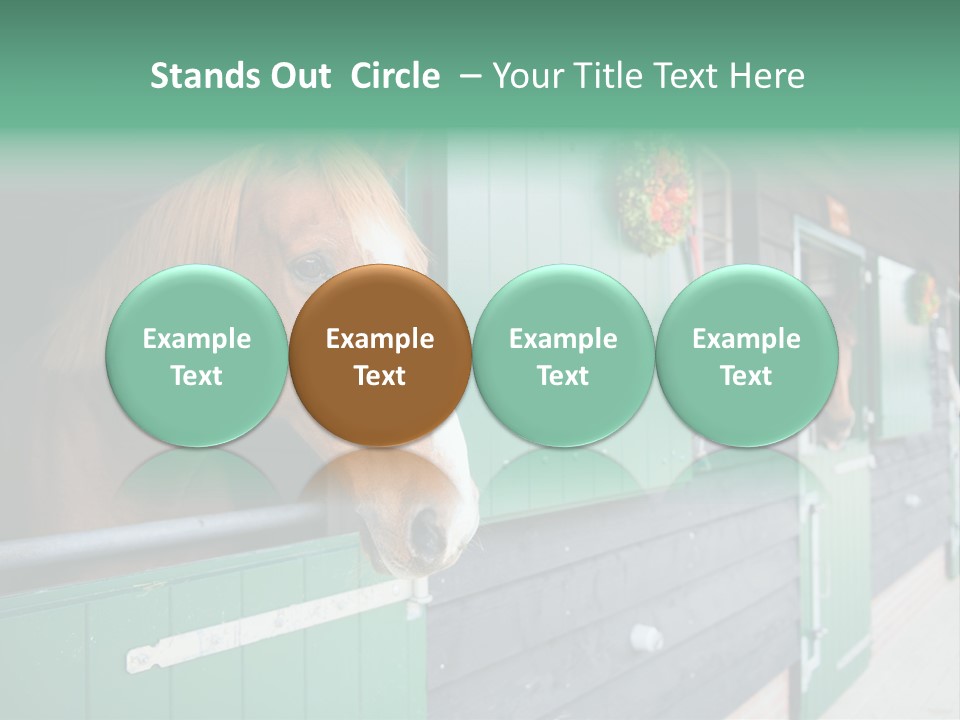 A Brown Horse Standing Next To A Green Door PowerPoint Template