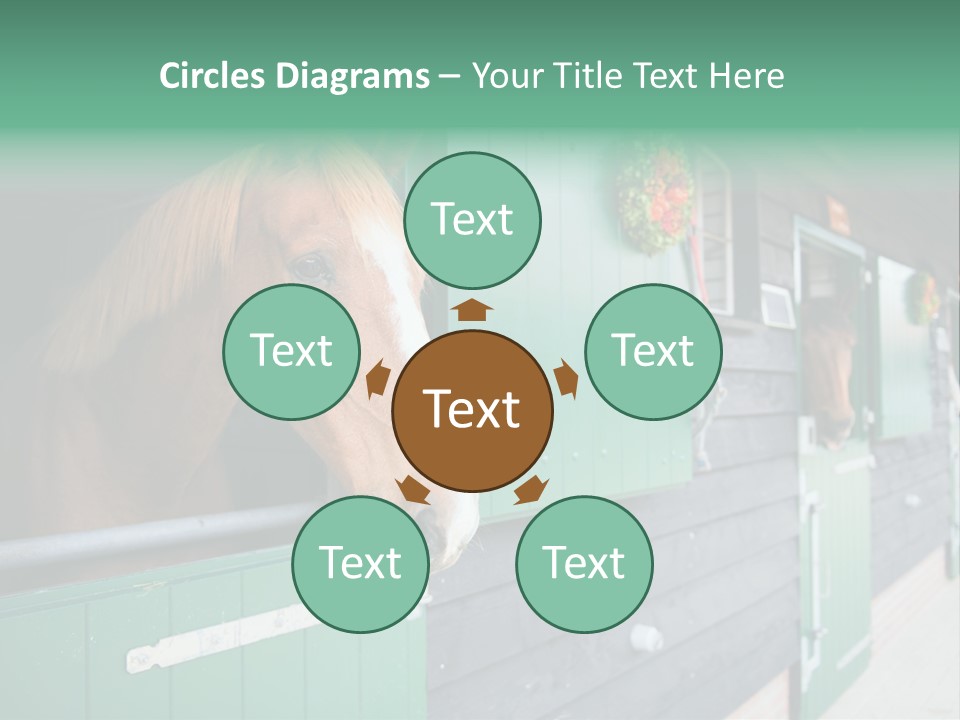 A Brown Horse Standing Next To A Green Door PowerPoint Template